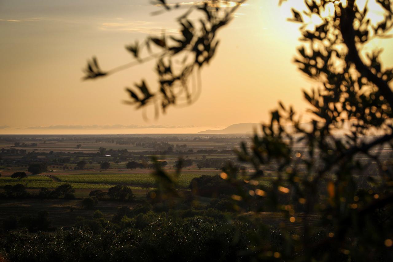 Podere n°8 Agriturismo in Maremma Alberese Esterno foto